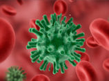 Механизм заболевания вирусной инфекцией. Часть 2