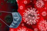 Владимир Сергиев: «Коронавирус SARS-CoV-2 нельзя отнести к патогенам, обладающим высоким эпидемическим потенциалом»